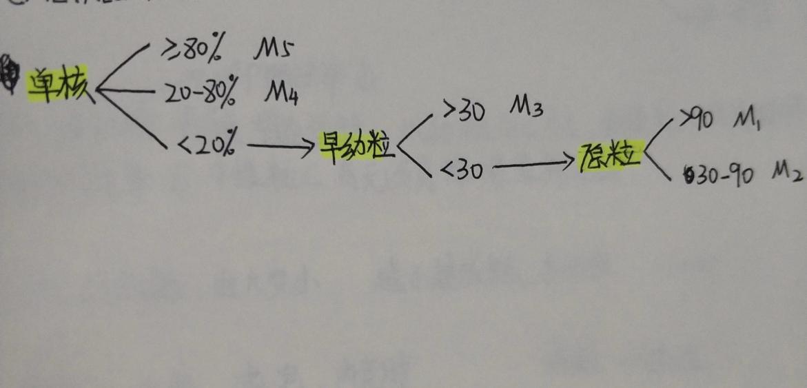 9916fbf2431d7f853177273d91d042b