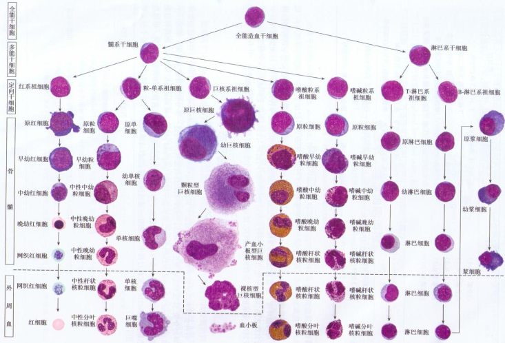 QQ截图20131102225444