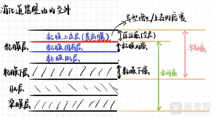 1e6f914a196f173fe2290ac26824404