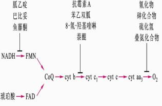 未标题-3副本