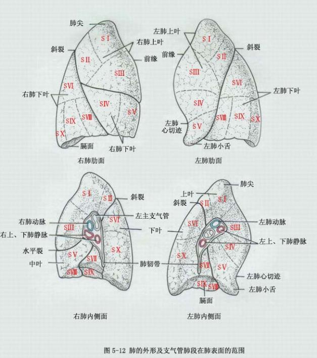 图5-12